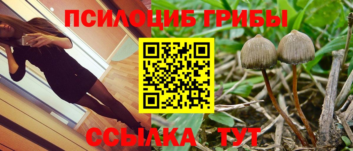 Кузнецк  закладка  Вход с VPN  Псилоцибиновые грибы Magic Shrooms 