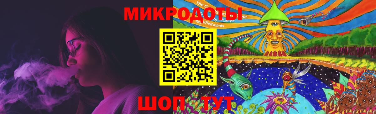 Псилоцибиновые грибы Psilocybe Кузнецк